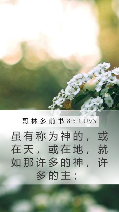 哥 林 多 前 书 8:5 CUVS Mobile Phone Wallpaper - 虽 有 称 为 神 的 ， 或 在 天 ， 或 - Mobile Bible Verse Wallpaper