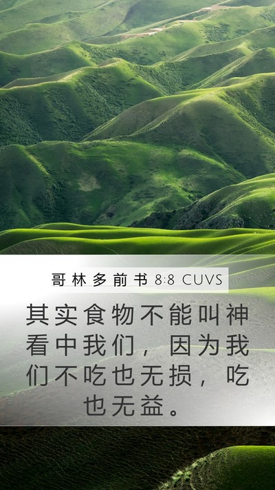 哥 林 多 前 书 8:8 CUVS Bible Verse Image