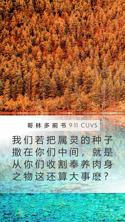 哥 林 多 前 书 9:11 CUVS Bible Verse Image