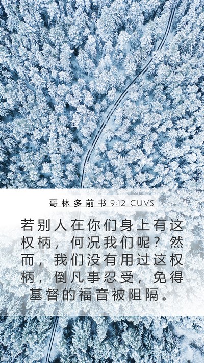 哥 林 多 前 书 9:12 CUVS Bible Verse Image