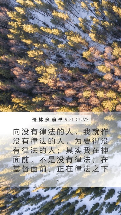 哥 林 多 前 书 9:21 CUVS Bible Verse Image