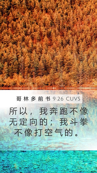 哥 林 多 前 书 9:26 CUVS Bible Verse Image