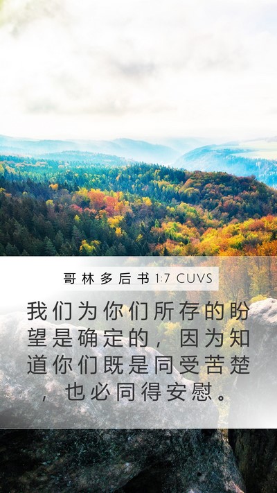 哥 林 多 后 书 1:7 CUVS Bible Verse Image