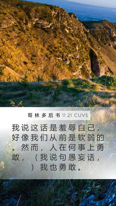 哥 林 多 后 书 11:21 CUVS Bible Verse Image