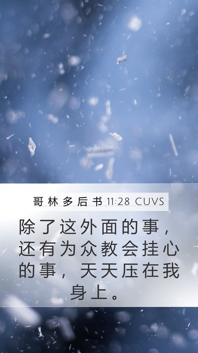 哥 林 多 后 书 11:28 CUVS Bible Verse Image