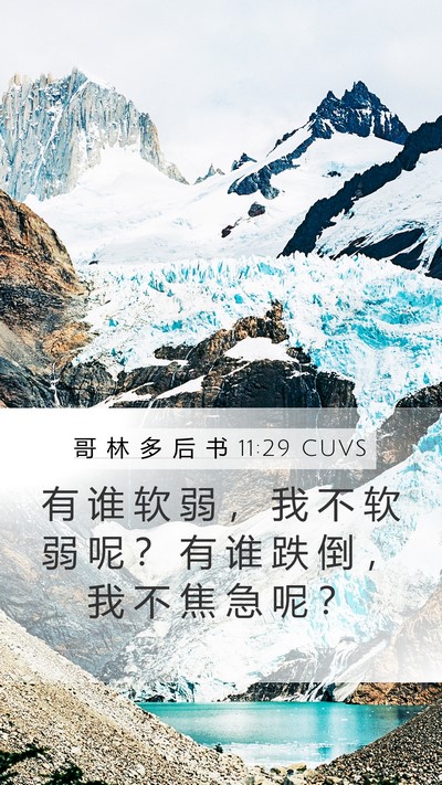 哥 林 多 后 书 11:29 CUVS Bible Verse Image