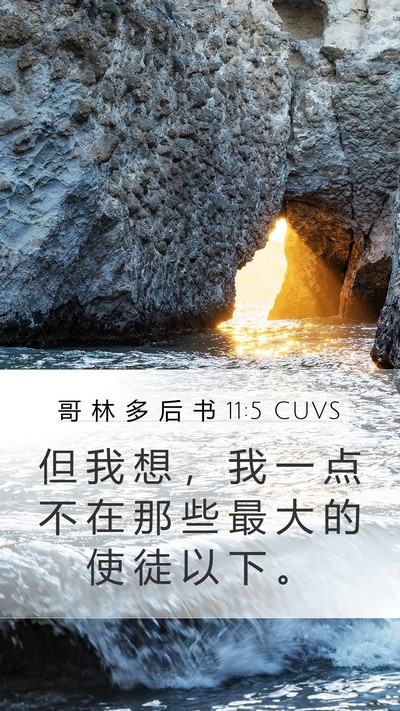 哥 林 多 后 书 11:5 CUVS Bible Verse Image
