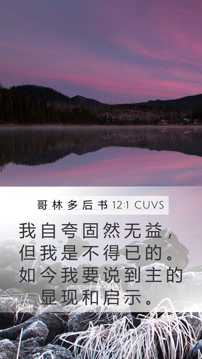 哥 林 多 后 书 12:1 CUVS Bible Verse Image