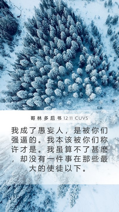 哥 林 多 后 书 12:11 CUVS Bible Verse Image