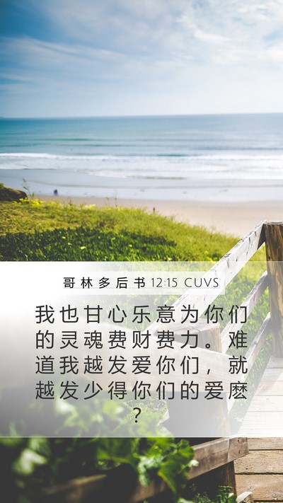 哥 林 多 后 书 12:15 CUVS Bible Verse Image