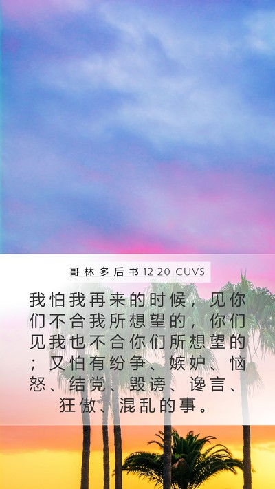 哥 林 多 后 书 12:20 CUVS Bible Verse Image