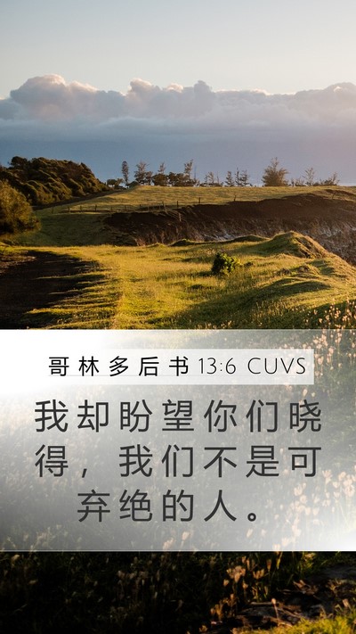 哥 林 多 后 书 13:6 CUVS Bible Verse Image