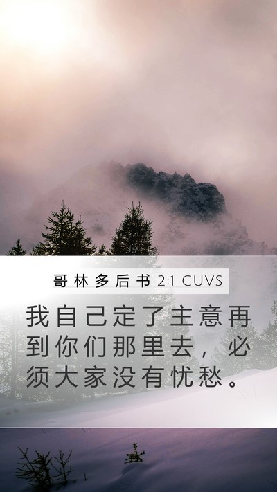 哥 林 多 后 书 2:1 CUVS Bible Verse Image