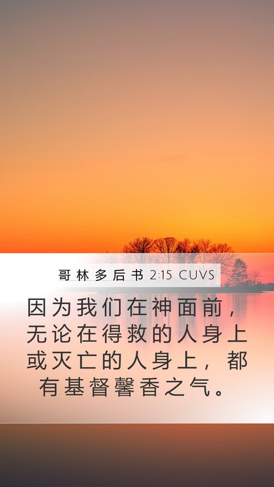 哥 林 多 后 书 2:15 CUVS Bible Verse Image