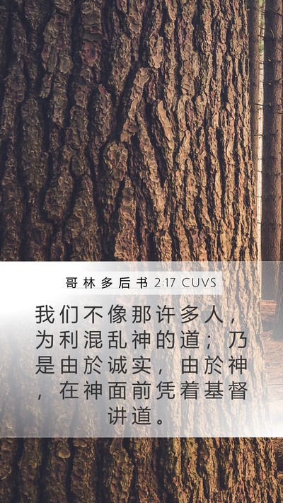 哥 林 多 后 书 2:17 CUVS Bible Verse Image