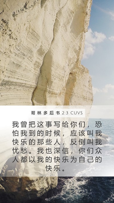 哥 林 多 后 书 2:3 CUVS Bible Verse Image