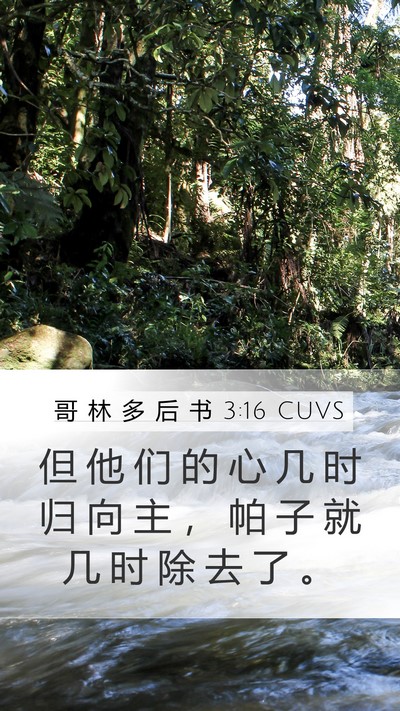 哥 林 多 后 书 3:16 CUVS Mobile Phone Wallpaper - 但 他 们 的 心 几 时 归 向 主 ， 帕 - Mobile Bible Verse Wallpaper