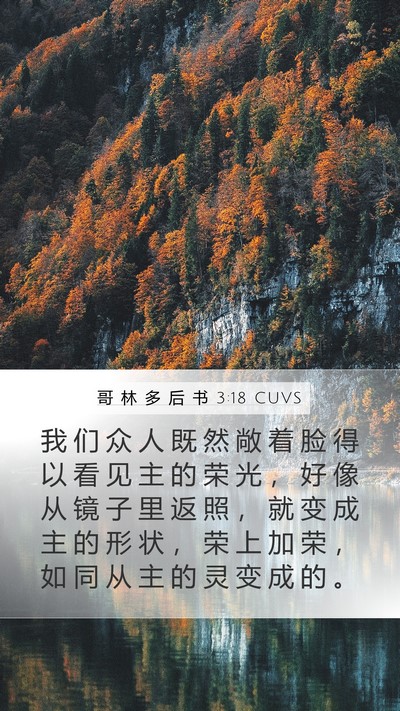 哥 林 多 后 书 3:18 CUVS Bible Verse Image