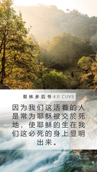 哥 林 多 后 书 4:11 CUVS Bible Verse Image