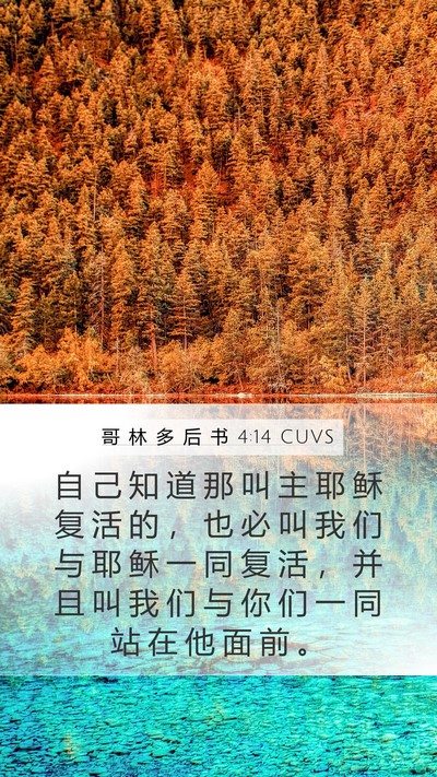 哥 林 多 后 书 4:14 CUVS Bible Verse Image
