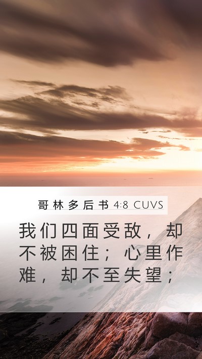 哥 林 多 后 书 4:8 CUVS Bible Verse Image