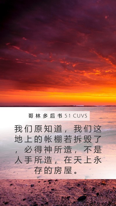 哥 林 多 后 书 5:1 CUVS Bible Verse Image