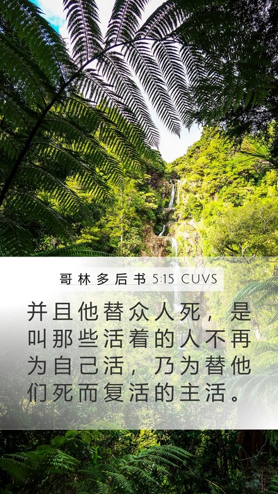 哥 林 多 后 书 5:15 CUVS Bible Verse Image