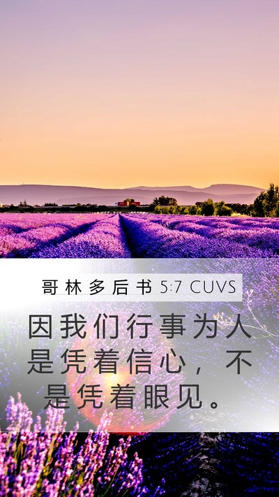 哥 林 多 后 书 5:7 CUVS Bible Verse Image