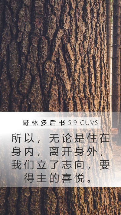 哥 林 多 后 书 5:9 CUVS Bible Verse Image
