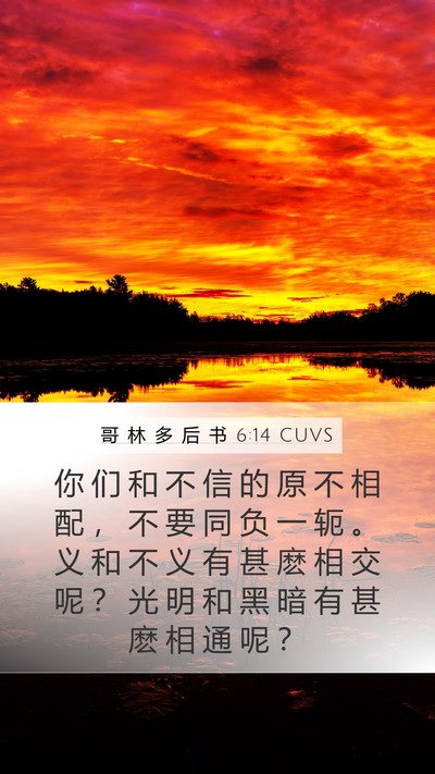 哥 林 多 后 书 6:14 CUVS Bible Verse Image