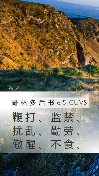 哥 林 多 后 书 6:5 CUVS Bible Verse Image