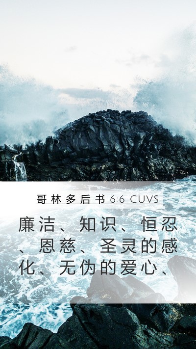 哥 林 多 后 书 6:6 CUVS Bible Verse Image