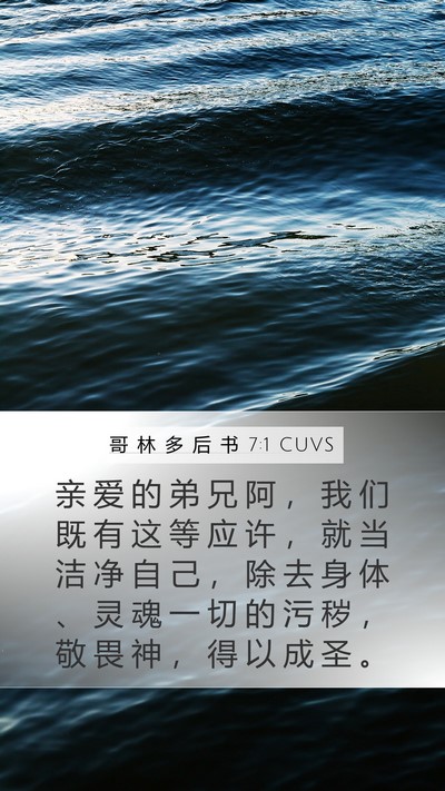 哥 林 多 后 书 7:1 CUVS Bible Verse Image