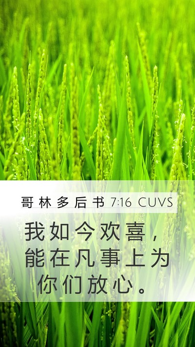 哥 林 多 后 书 7:16 CUVS Mobile Phone Wallpaper - 我 如 今 欢 喜 ， 能 在 凡 事 上 为 - Mobile Bible Verse Wallpaper