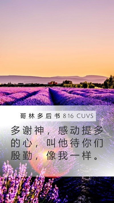 哥 林 多 后 书 8:16 CUVS Bible Verse Image