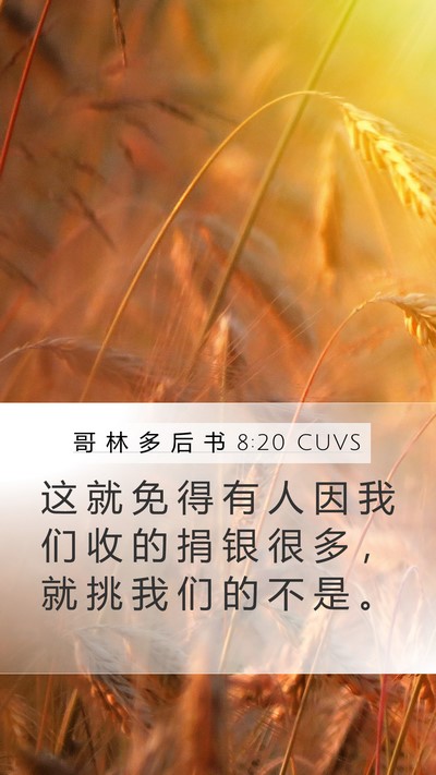 哥 林 多 后 书 8:20 CUVS Bible Verse Image