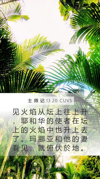 士 师 记 13:20 CUVS Bible Verse Image