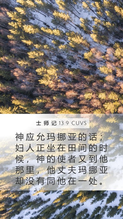 士 师 记 13:9 CUVS Bible Verse Image