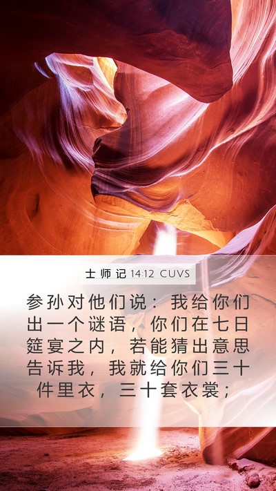 士 师 记 14:12 CUVS Bible Verse Image