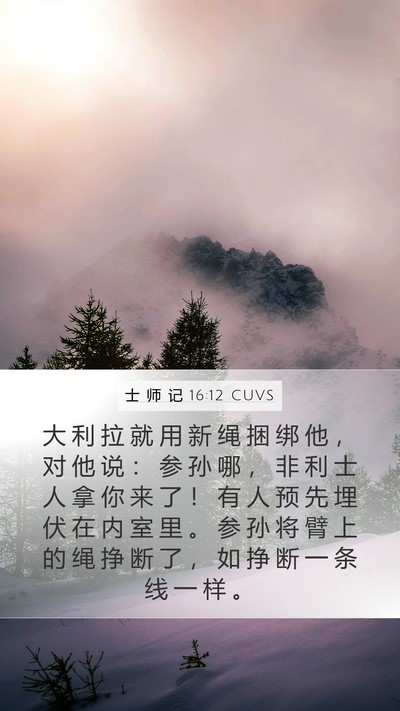 士 师 记 16:12 CUVS Mobile Phone Wallpaper - 大 利 拉 就 用 新 绳 捆 绑 他 ， 对 - Mobile Bible Verse Wallpaper