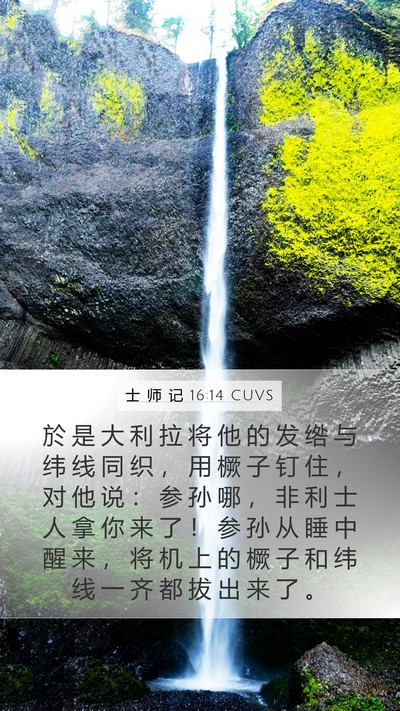士 师 记 16:14 CUVS Bible Verse Image