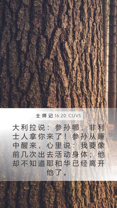 士 师 记 16:20 CUVS Bible Verse Image