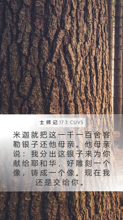 士 师 记 17:3 CUVS Bible Verse Image