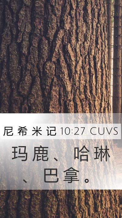 尼 希 米 记 10:27 CUVS Mobile Phone Wallpaper - 玛 鹿 、 哈 琳 、 巴 拿 - Mobile Bible Verse Wallpaper