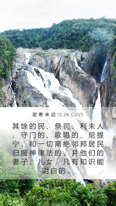 尼 希 米 记 10:28 CUVS Bible Verse Image