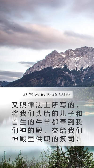 尼 希 米 记 10:36 CUVS Mobile Phone Wallpaper - 又 照 律 法 上 所 写 的 ， 将 我 们 - Mobile Bible Verse Wallpaper