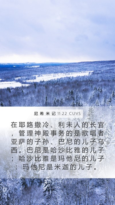 尼 希 米 记 11:22 CUVS Bible Verse Image