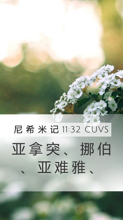 尼 希 米 记 11:32 CUVS Bible Verse Image