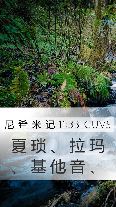 尼 希 米 记 11:33 CUVS Mobile Phone Wallpaper - 夏 琐 、 拉 玛 、 基 他 音 - Mobile Bible Verse Wallpaper