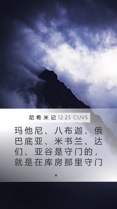 尼 希 米 记 12:25 CUVS Bible Verse Image